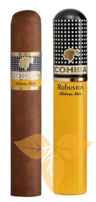 Cohiba Robustos Tubos (1 шт.) фото