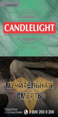 CANDLELIGHT FILTER GREEN (х10) фото